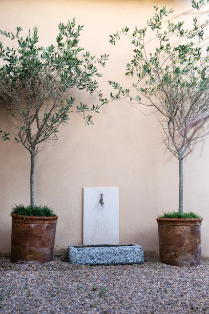 入口和内部庭院设计图片下载