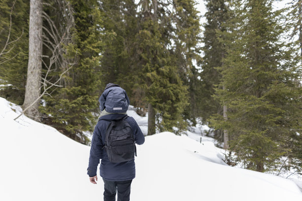 父亲用皮带背着儿子。他们正在穿过白雪皑皑的森林。寒冷的冬天。库存图片图片下载