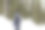 父亲用皮带背着儿子。他们正在穿过白雪皑皑的森林。寒冷的冬天。库存图片图片下载