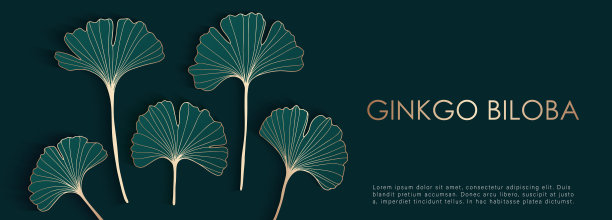 豪华的植物深绿色向量设计与银杏叶的金色轮廓。植物卡，壁纸，背景，海报，横幅，封面设计。图片下载