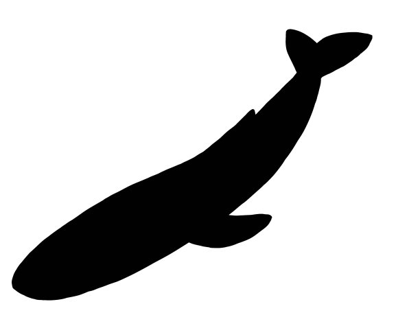 孤立的蓝鲸剪影图片下载