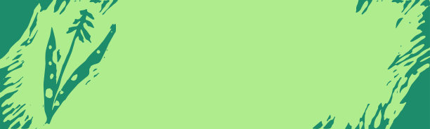 植物插图，草药标志。矢量兰花军国画。图片下载