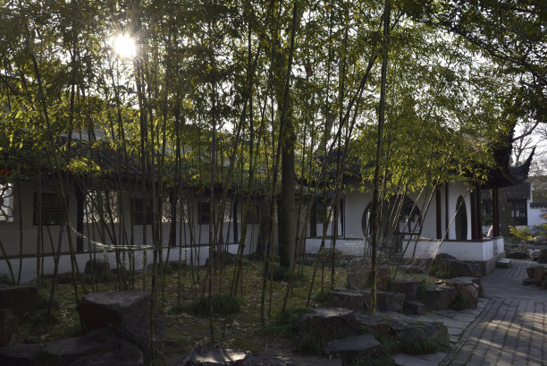 卑微的管理员(Zhuozheng)的花园图片下载