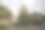 卑微的管理员(Zhuozheng)的花园图片下载