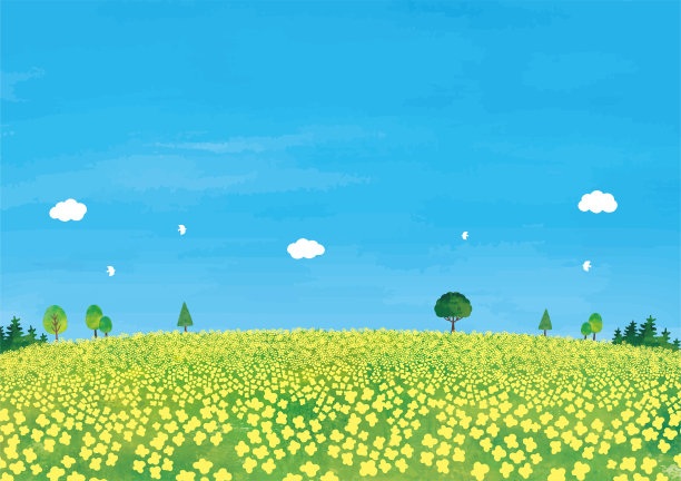 油菜花、田野和树木的景色图片下载