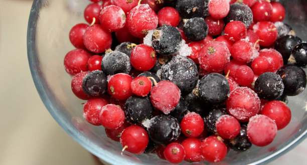 解冻浆果库存照片。玻璃碗里的黑醋栗和红醋栗结霜图片下载
