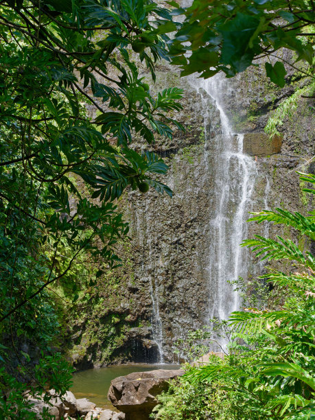 在美国夏威夷毛伊岛哈雷阿卡拉国家公园，从库洛阿点的奥伊奥峡谷(通常被称为七圣池)瀑布的垂直照片图片下载