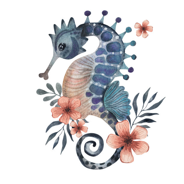 海马与花朵，水彩插画。隔离在白色背景上图片下载