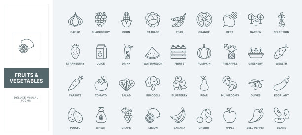 蔬菜，浆果和水果线图标集，有机收获标志从农场花园图片下载