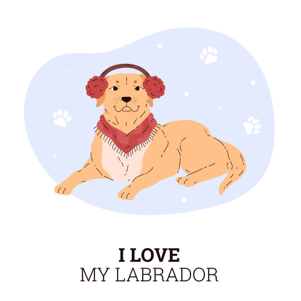 快乐的拉布拉多猎犬戴着红色的头巾和温暖的耳机。图片下载