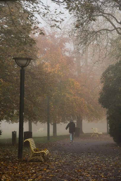 这张照片是雾天里公园里的一条小路图片下载