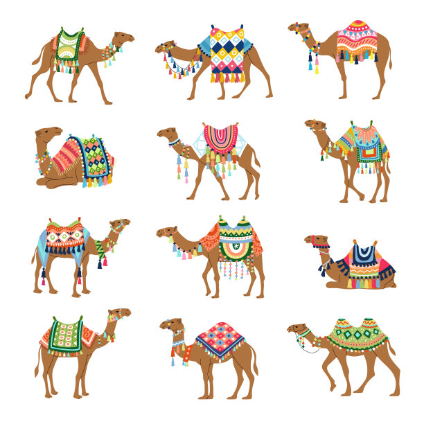 骆驼。装饰图片的骆驼从撒哈拉沙漠最近的矢量插图集骆驼动物孤立的风格化插图，异国情调的旅程，图片下载