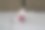 桌上的自制折纸鸽子图片下载