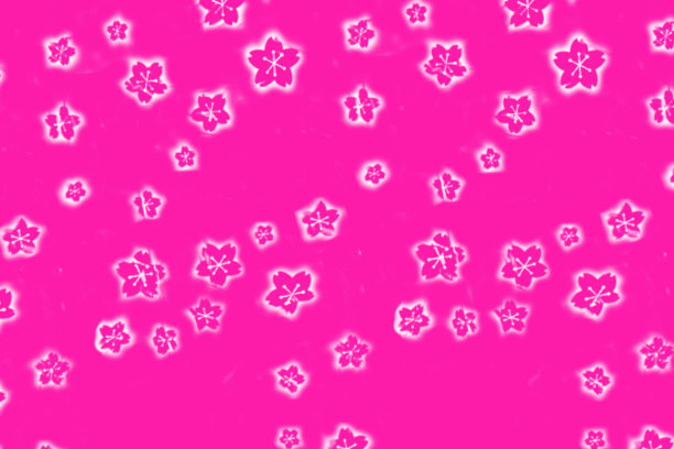 笔刷花卉、花卉图案插画艺术风格，设计适用于时装、面料、纺织品、墙纸、包装等各种印花图片下载