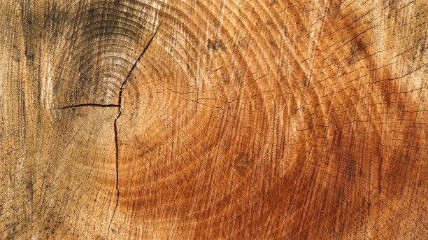 木质纹理背景图片下载