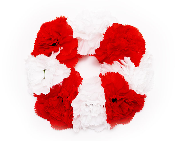 白色背景上的花头花环。剪出花环。图片下载