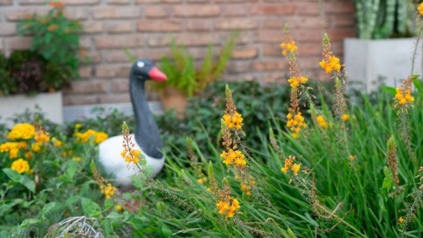 花园中央的水泥鸭的照片图片下载