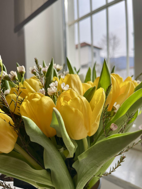 黄色的郁金香和绿色的叶子。副本的空间。花的背景。垂直的照片。图片下载