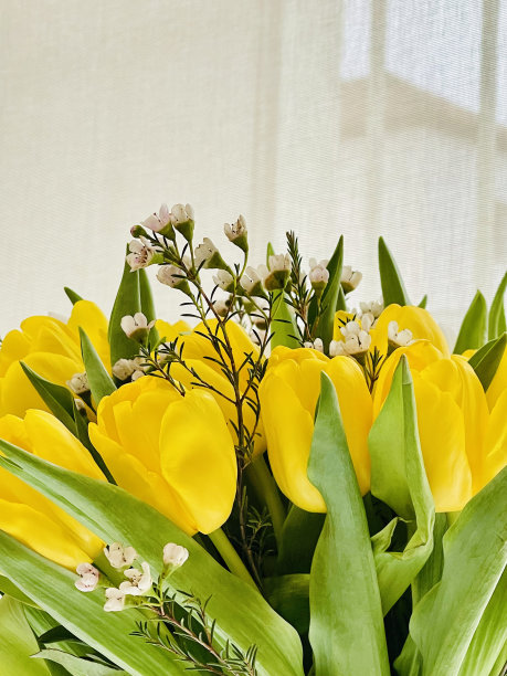 黄色的郁金香和绿色的叶子。副本的空间。花的背景。垂直的照片。图片下载
