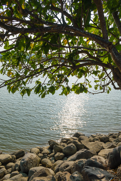 这张照片拍摄于下午，炎热的太阳反射在湖面上，湖边的树阴和岩石作为前景图片下载