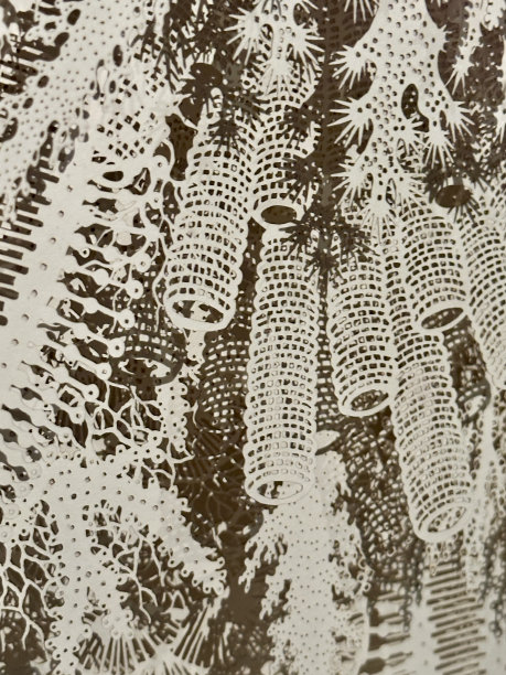 多层花卉和有机图案剪纸从纸和纸板图片下载