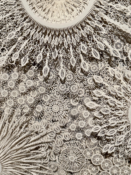 多层花卉和有机图案剪纸从纸和纸板图片下载