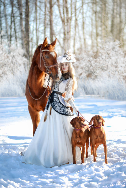 一个穿着古装、长裙、戴着帽子的金发女孩站在深雪中的冬季森林里，身边有两只棕色的狗和一匹马。皇家狩猎。艺术照片图片下载