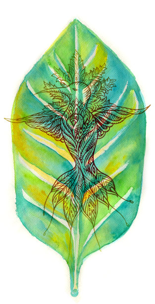 蜂鸟叶图片下载