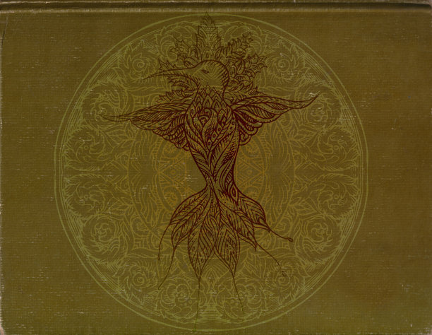 蜂鸟的书图片下载