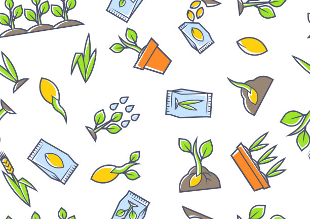 播种和生长模式。农业、栽培、种植插画。图片下载