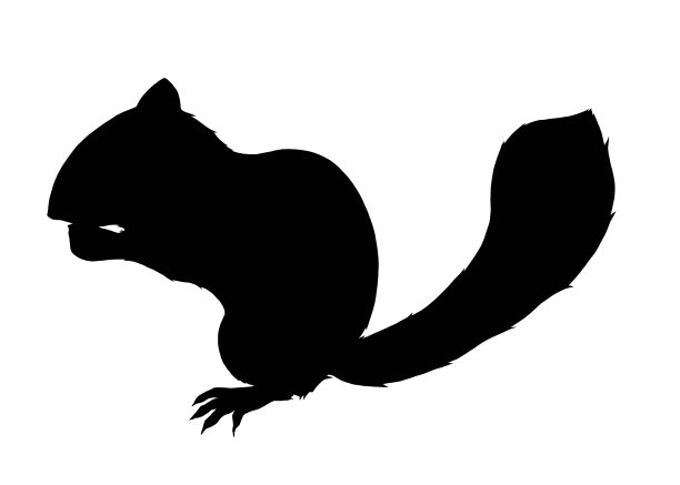 花栗鼠的剪影图片下载