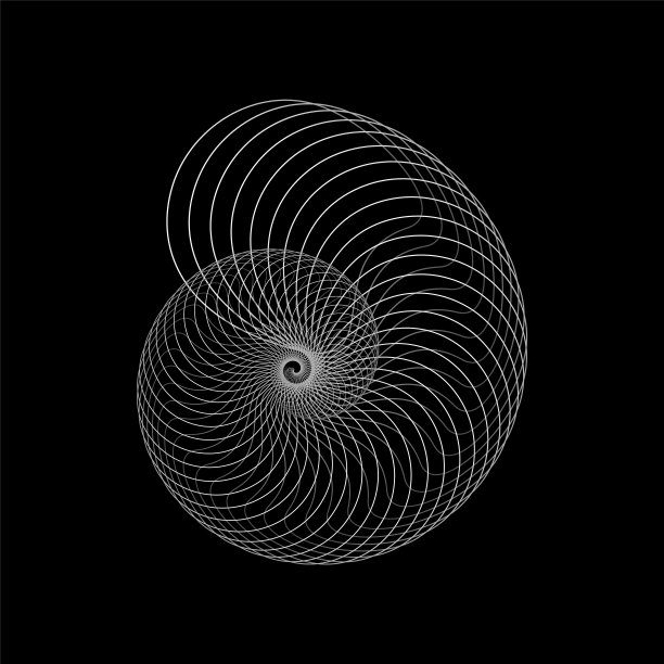 黑色背景上的抽象线性壳形。技术对象。图片下载