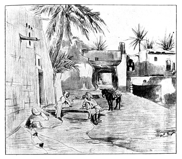 阿尔及利亚比斯克拉的一条街道图片下载