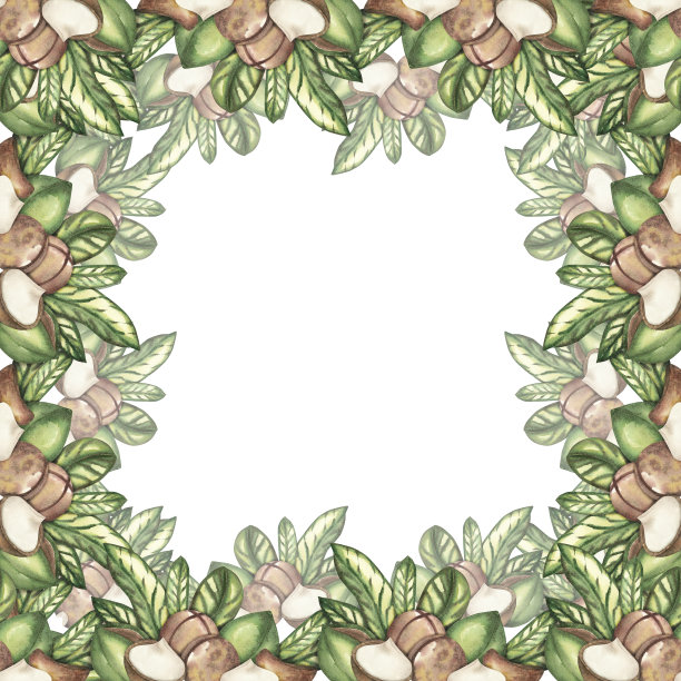 一帧成熟的澳洲坚果，白色背景上是绿叶。水彩插图。无缝图案，横幅。用于明信片、标签、包装、餐具、办公模板的设计图片下载