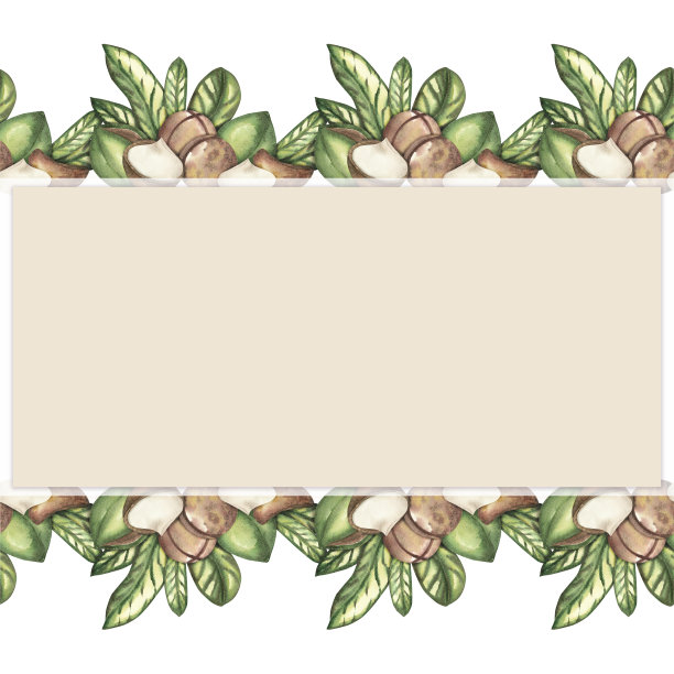 一帧成熟的澳洲坚果，白色背景上是绿叶。水彩插图。无缝图案，横幅。用于明信片、标签、包装、餐具、办公模板的设计图片下载