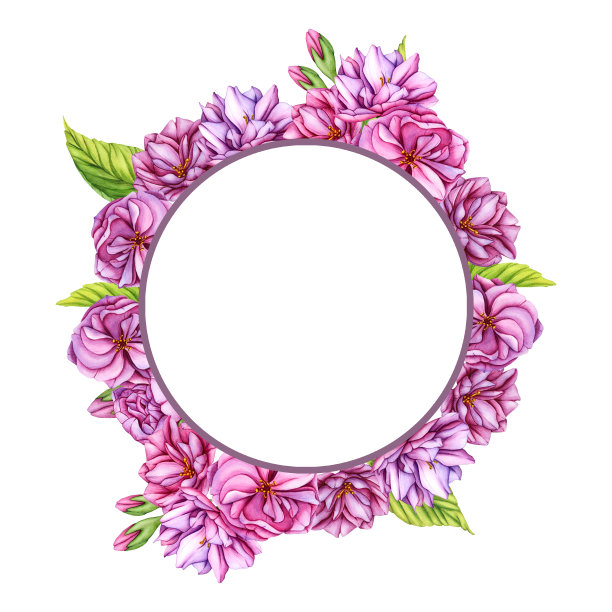 装饰淡粉色樱花花架。水彩植物插图日本樱花在春天。手绘花蕾，花瓣樱花图片下载