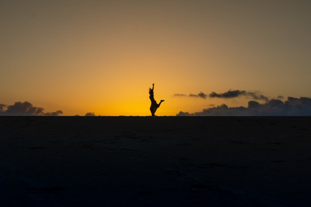 一个女人的剪影在沙滩上的地平线上跳舞图片下载