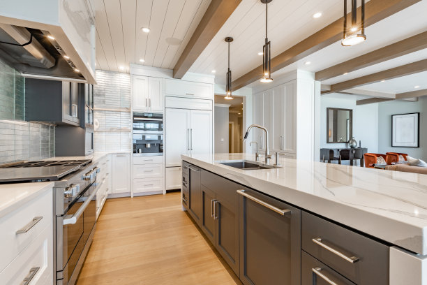 室内照片的豪华住宅家庭书房书房餐厅厨房客厅卧室浴室步入壁橱玻璃淋浴管家食品储藏室大钢琴台球桌和一个大壁炉。图片下载