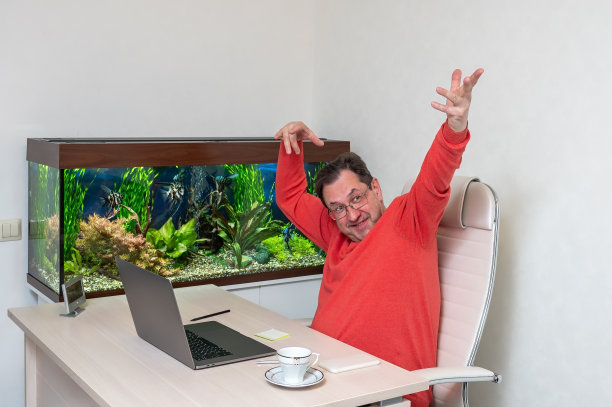 商人、经理、自由职业者、上班族坐在办公桌前，在办公室的电脑前工作，家庭房间的背景是一个有鱼的水族馆。图片下载