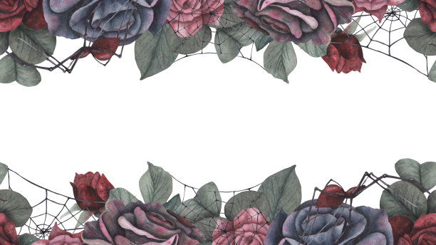 无缝边界黑蜘蛛与蜘蛛网和黑暗玫瑰花和叶孤立在白色背景。水彩手绘黑暗幻想插画。艺术设计神秘的万圣节巫婆装饰图片下载