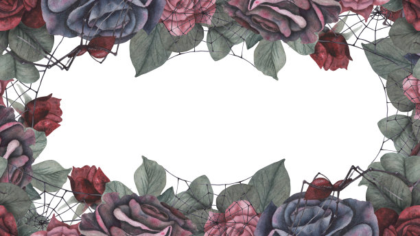 边框框架黑色蜘蛛与蜘蛛网和黑暗的玫瑰花和叶孤立在白色背景。水彩手绘黑暗幻想插画。艺术设计神秘的万圣节巫婆装饰图片下载