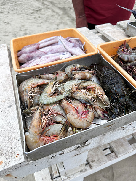 难以辨认的图片，餐厅顾客从木凳上展示的烧烤食材中挑选金属和塑料托盘中冷藏的新鲜整鱼，对虾，龙虾，鱿鱼，户外海滩餐厅，沙滩图片下载
