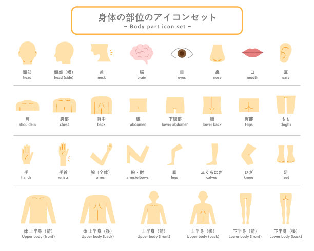 人体部位图标和象形图集图片下载
