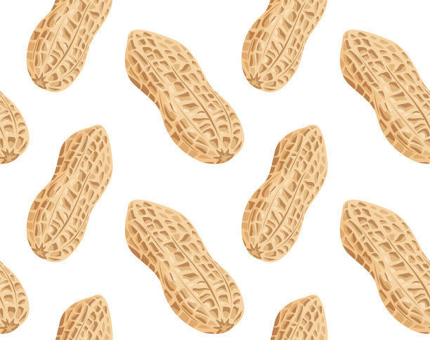 花生仁在壳上的角度不同。在矢量无缝图案。适用于背景和印刷品图片下载