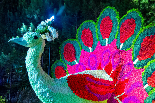 菲律宾碧瑶的大型艺术孔雀图片下载