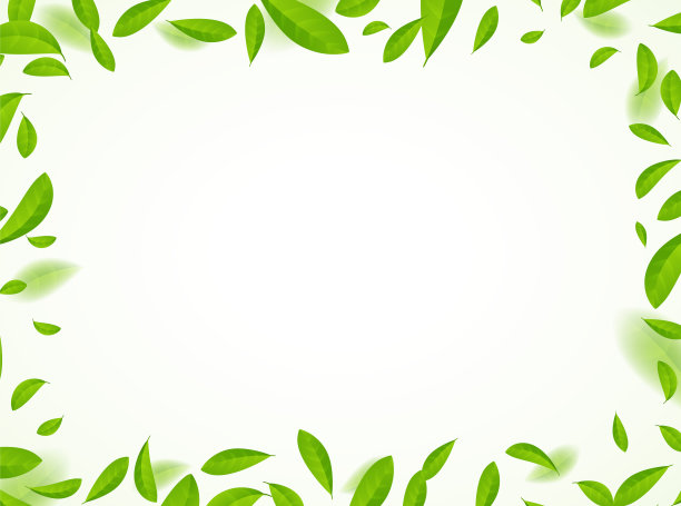 绿茶矢量背景薄荷生态插图。有机绿茶飞叶清新概念图片下载