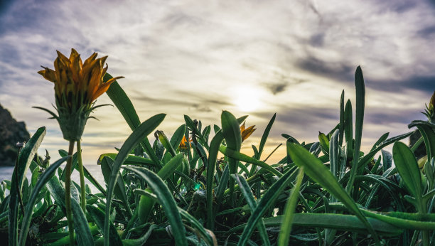 废弃房屋的废墟黑白照片图片下载