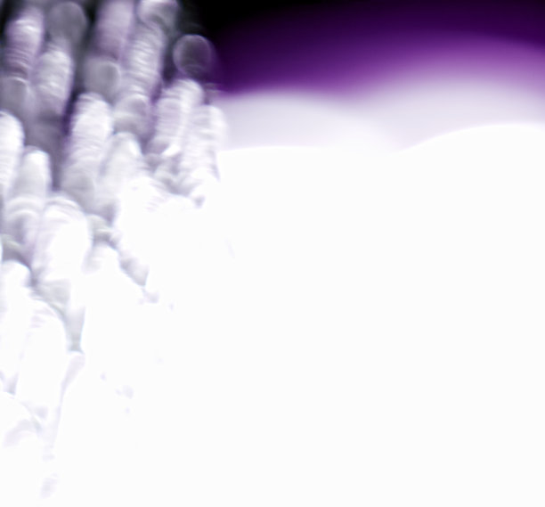 白色背景左边的白色和紫色光点的抽象照片。白色背景上方是紫色的反射光。图片下载