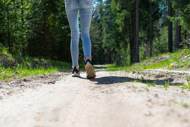 女游客的双腿在森林道路上行走的后景照片。夏天的一天。图片下载