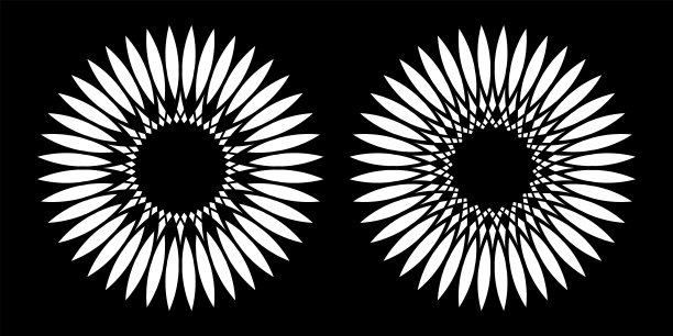 一套抽象的装饰白色的花在黑色的背景。图片下载